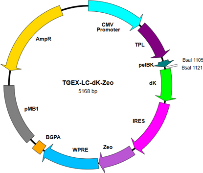 TGEX-LC-dK-Zeo map
